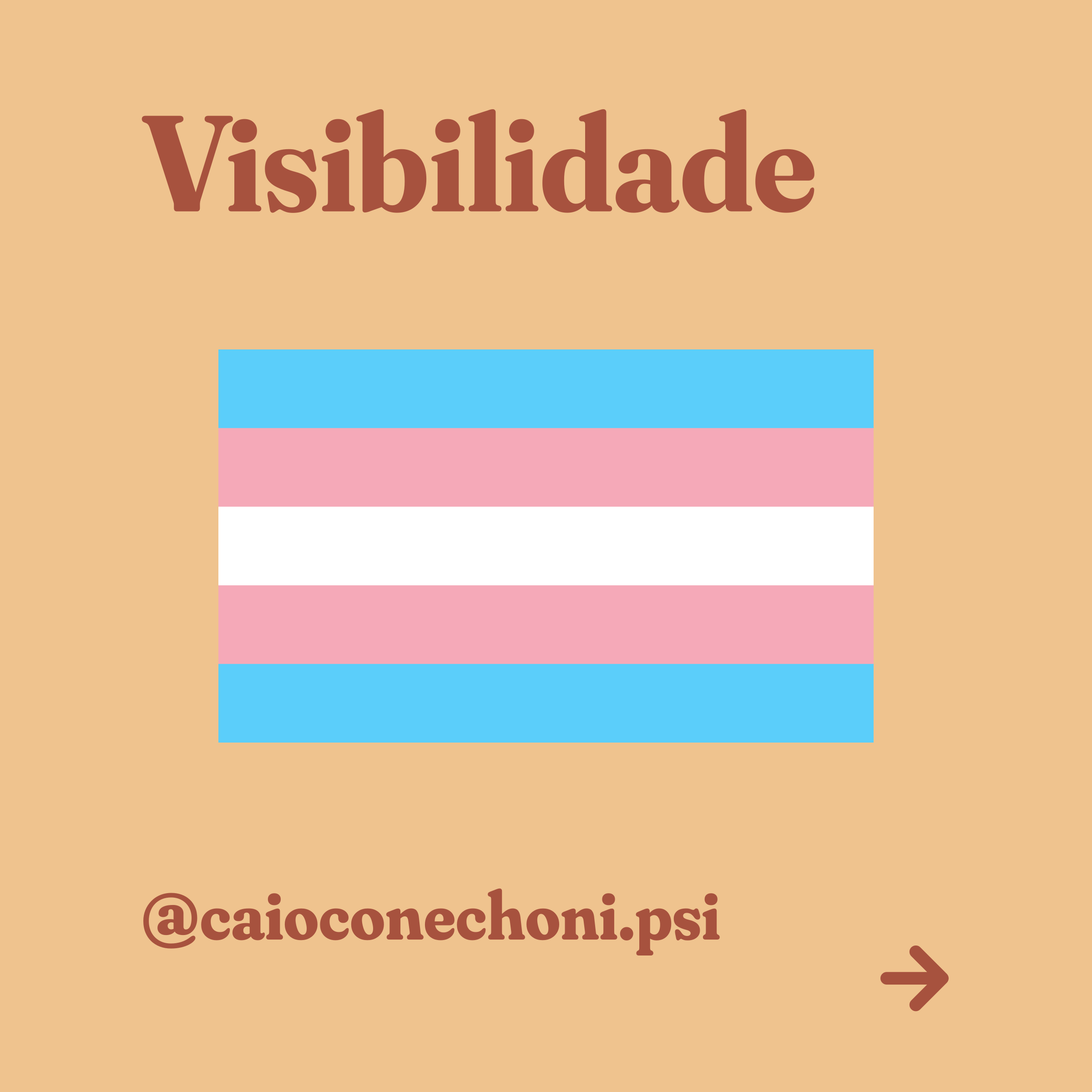 Visibilidade 🏳️‍⚧️